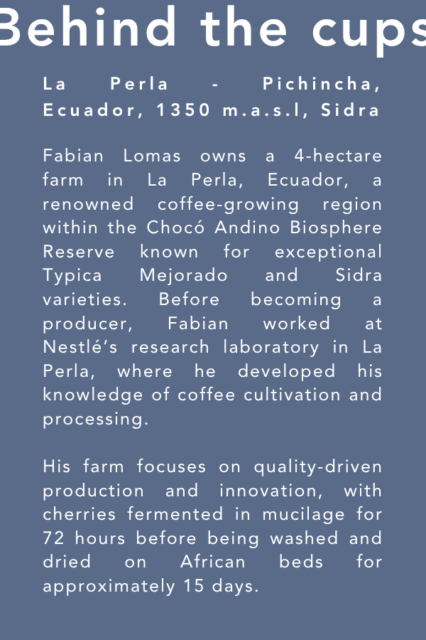 Ecuador Sidra